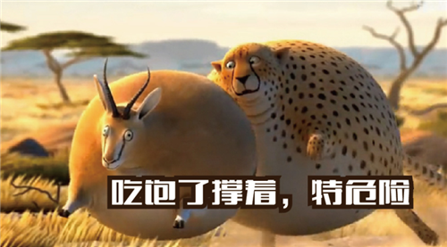 102166038.png 102166038.png